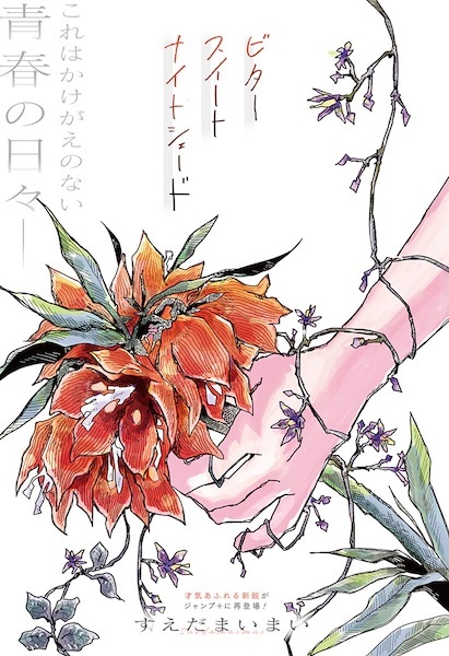 Bittersweet Nightshade