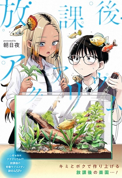 Houkago Aquarium